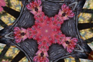 Photo edited with http://www.tuxpi.com