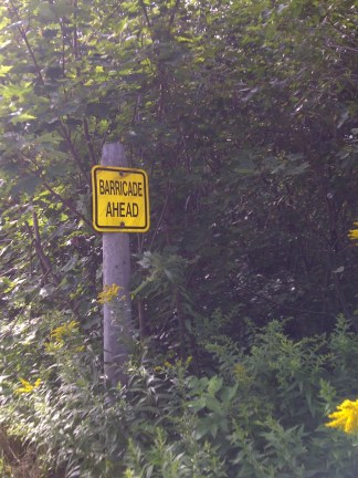 Halifax-20130812-01321