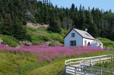 View from the wharf.