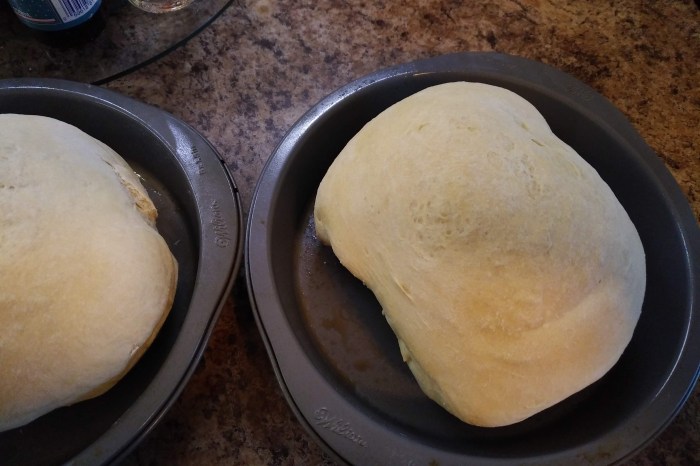 img_20190324_1926011