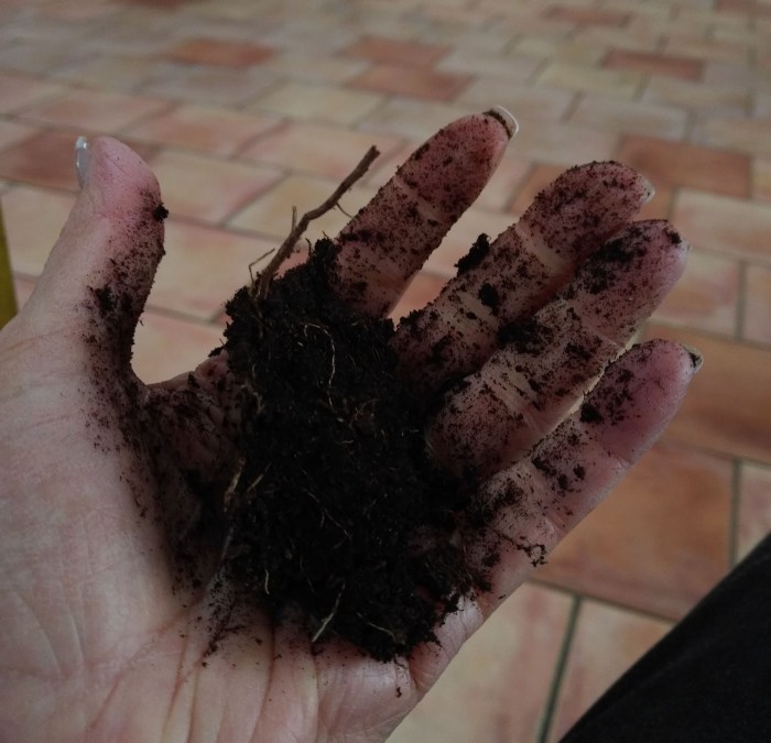 img_20190507_1642384