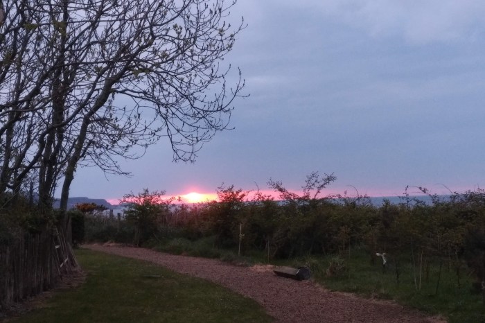 img_20190507_2103250-1