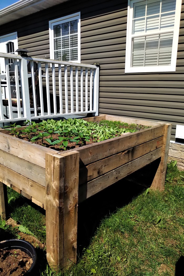 img_20200627_1032554